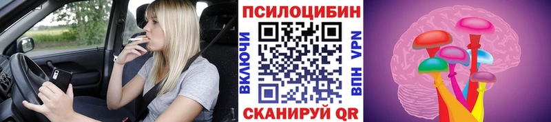 Псилоцибиновые грибы Magic Shrooms  хочу   Дрезна 