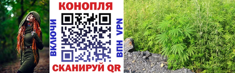 Бошки марихуана Amnesia  Дрезна 